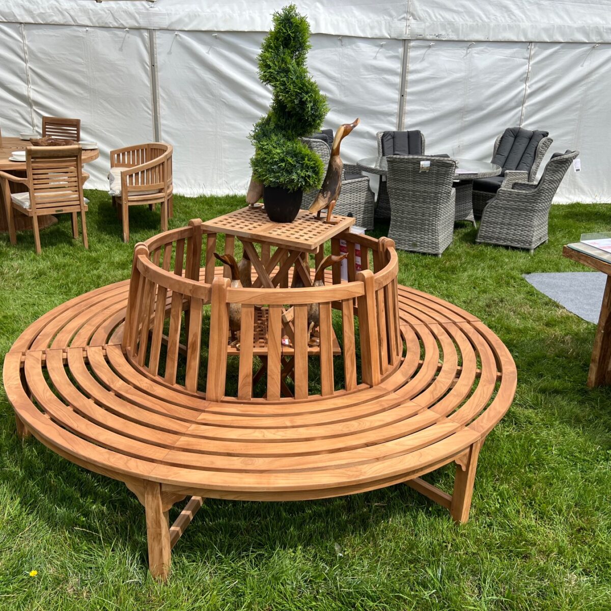 tree seat teak wood