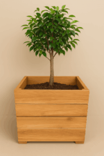 teak planter